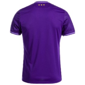 Virallinen pelipaita RSC Anderlecht Koti 2024-25 Lyhythihainen - Miesten